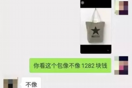 爱辉债务清欠服务